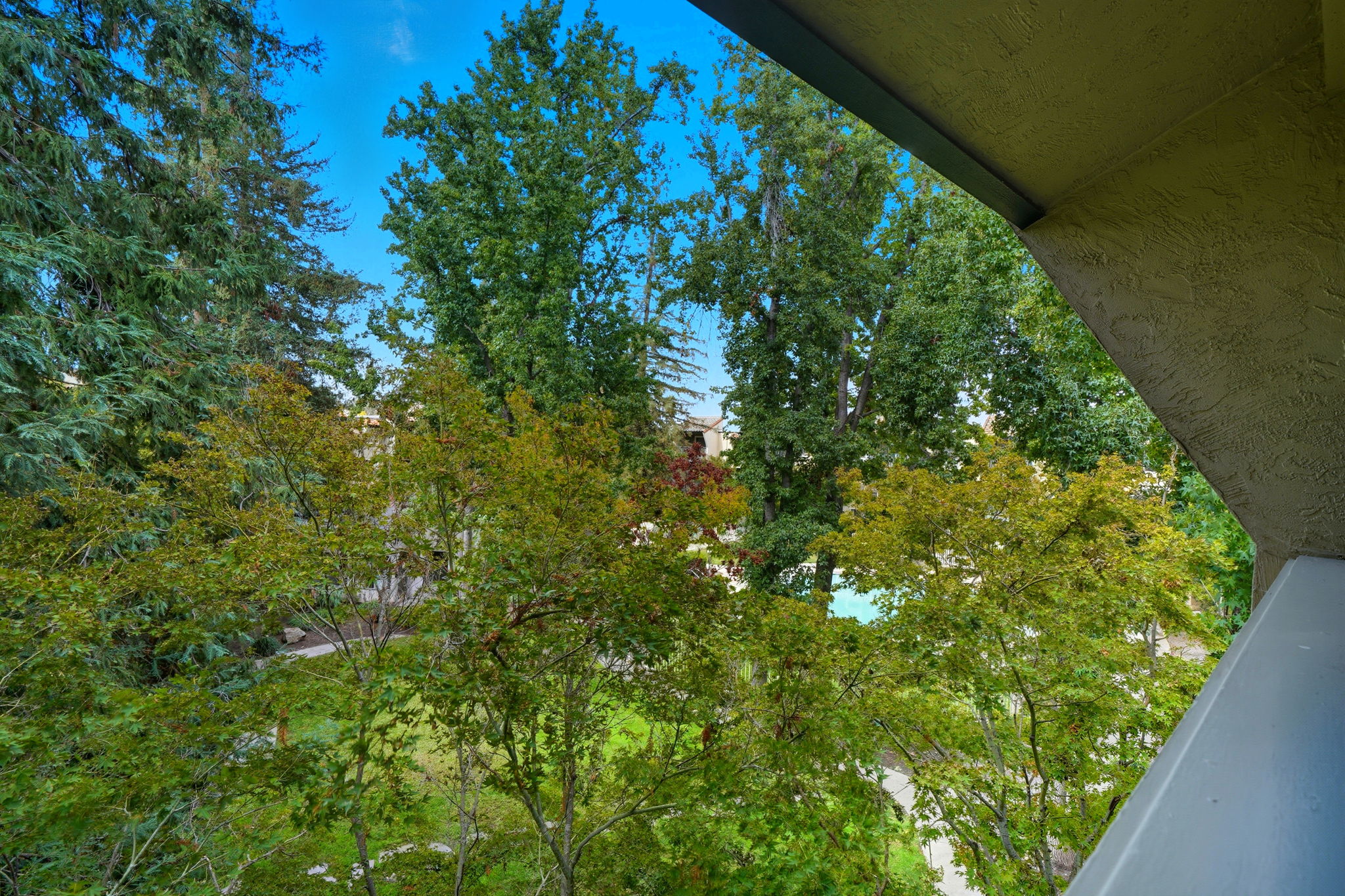 View of trees