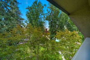 View of trees