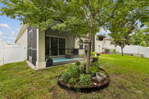 Back of Home