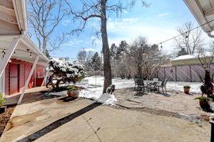 Patio-Yard