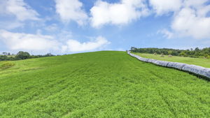  Photo 30