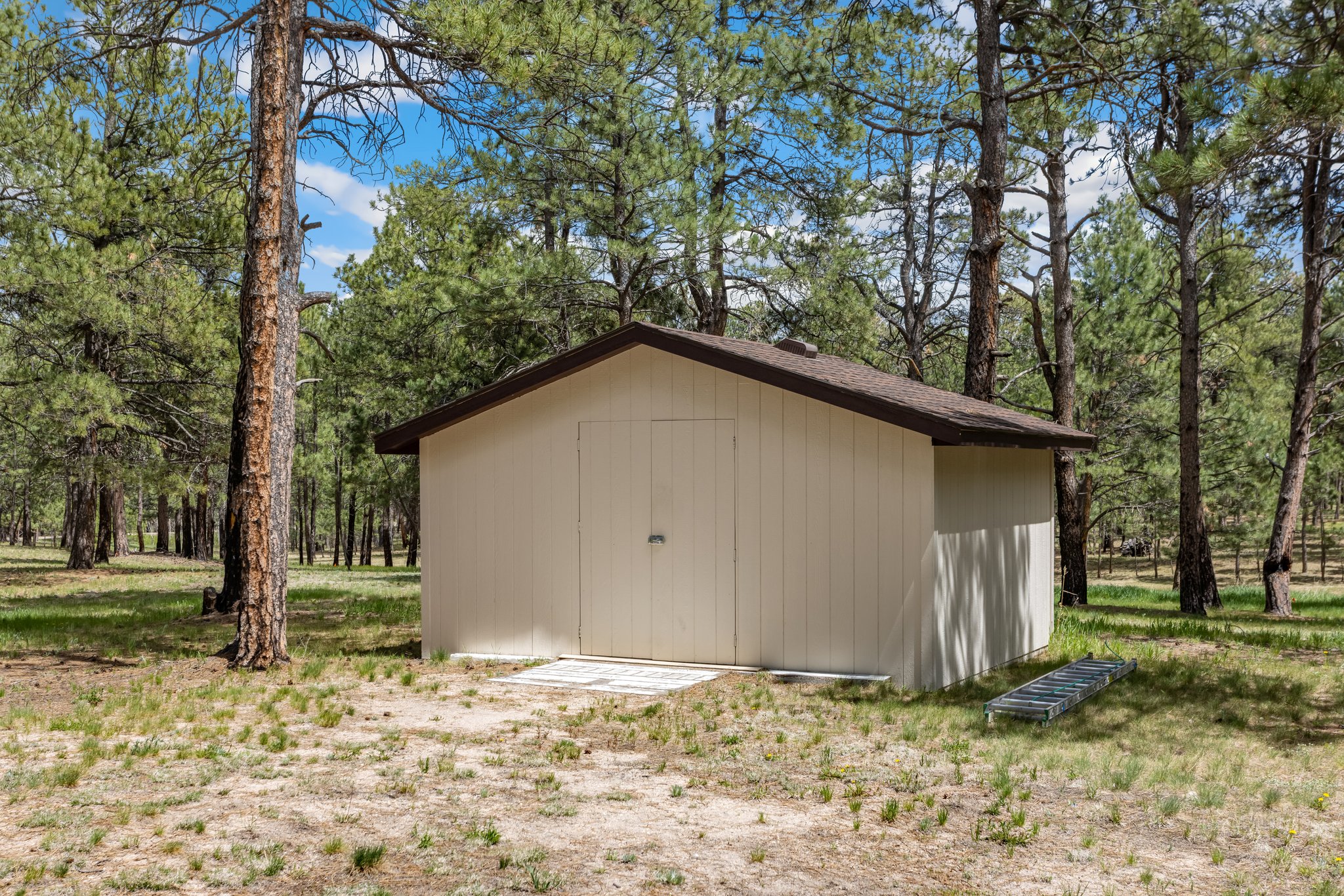 Shed