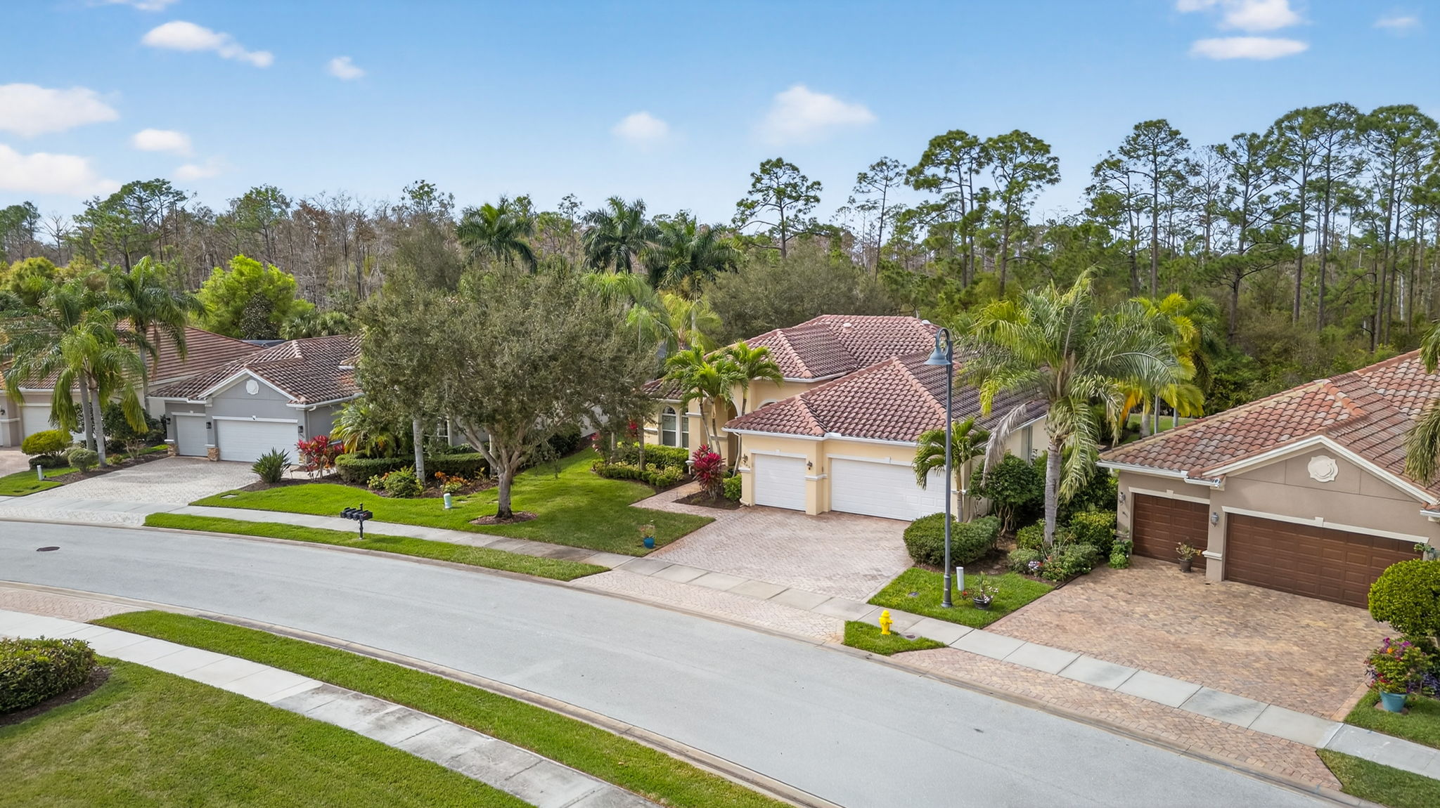 Aerial Front Exterior 2