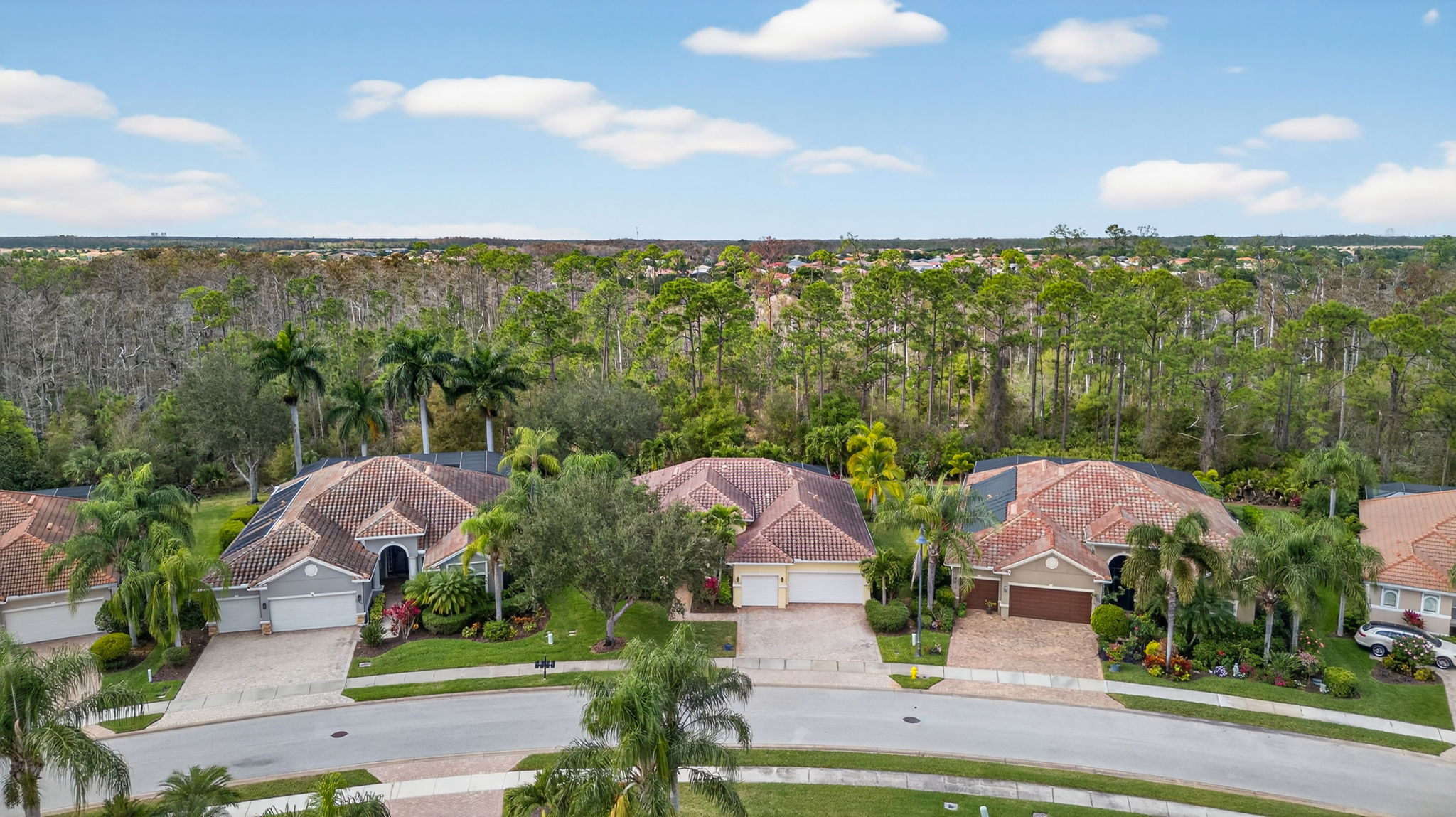 Aerial Front Exterior 3