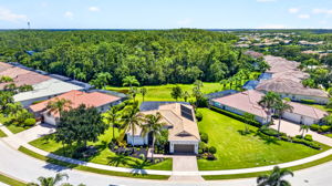 Aerial 1
