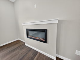 fireplace 1