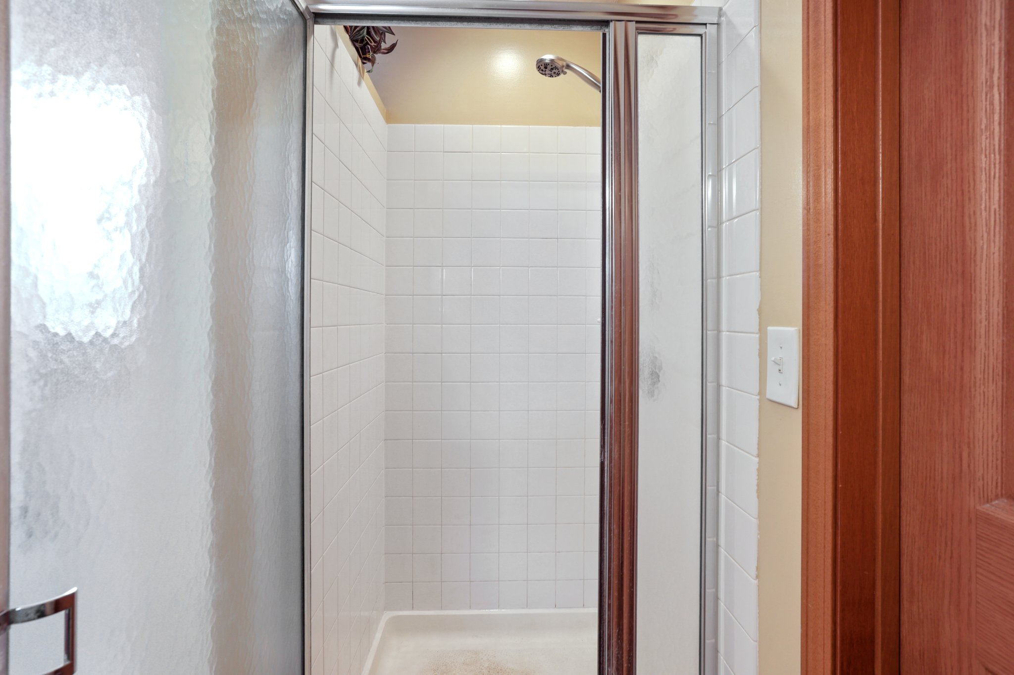 Owner's Walk-in Shower