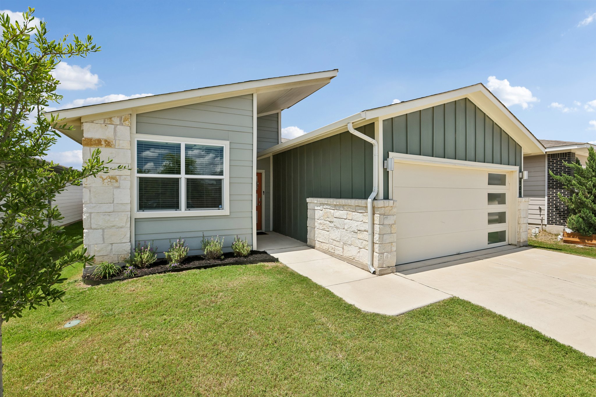 Filifera Ct-S0407-006.jpg