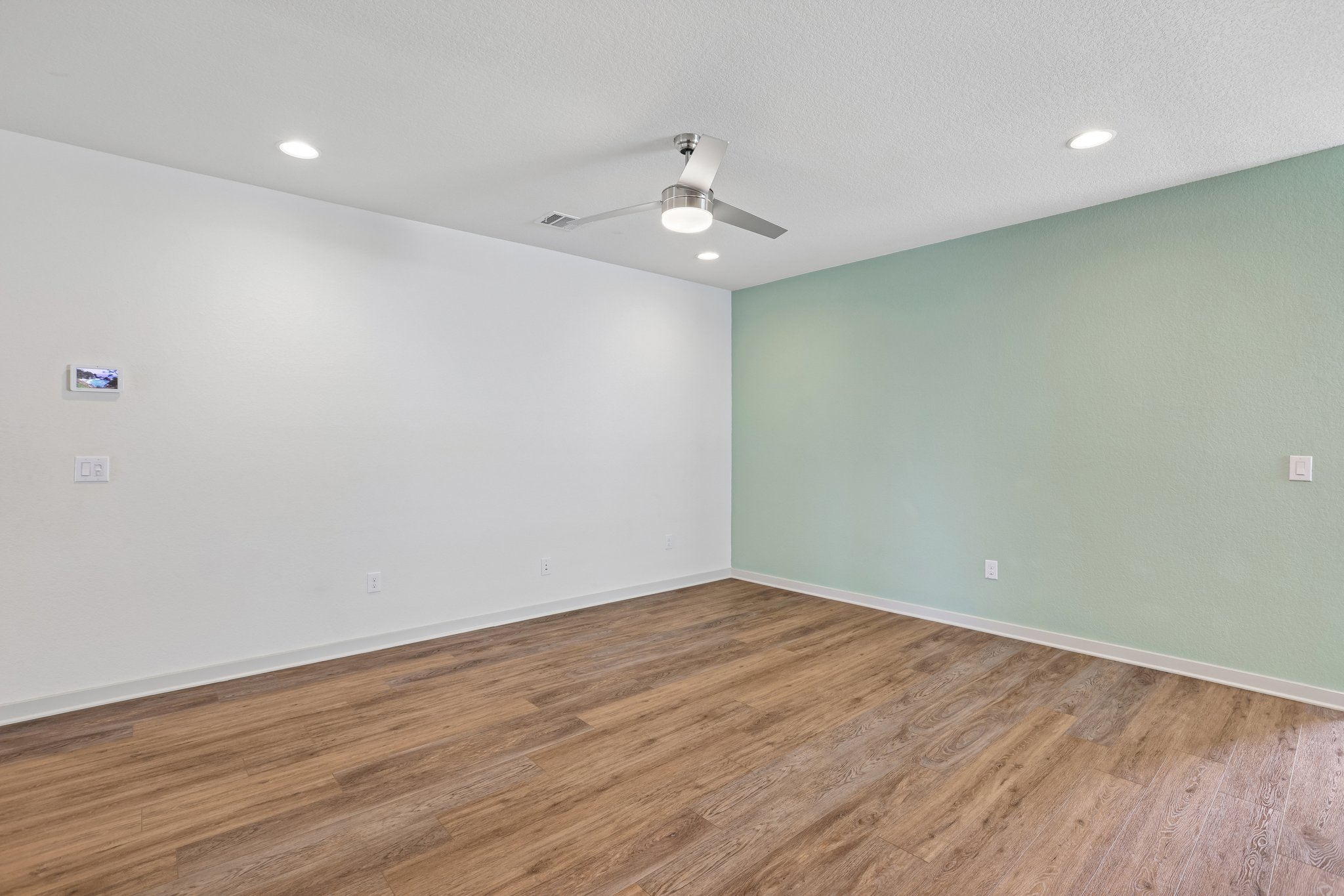 Filifera Ct-S0407-010.jpg