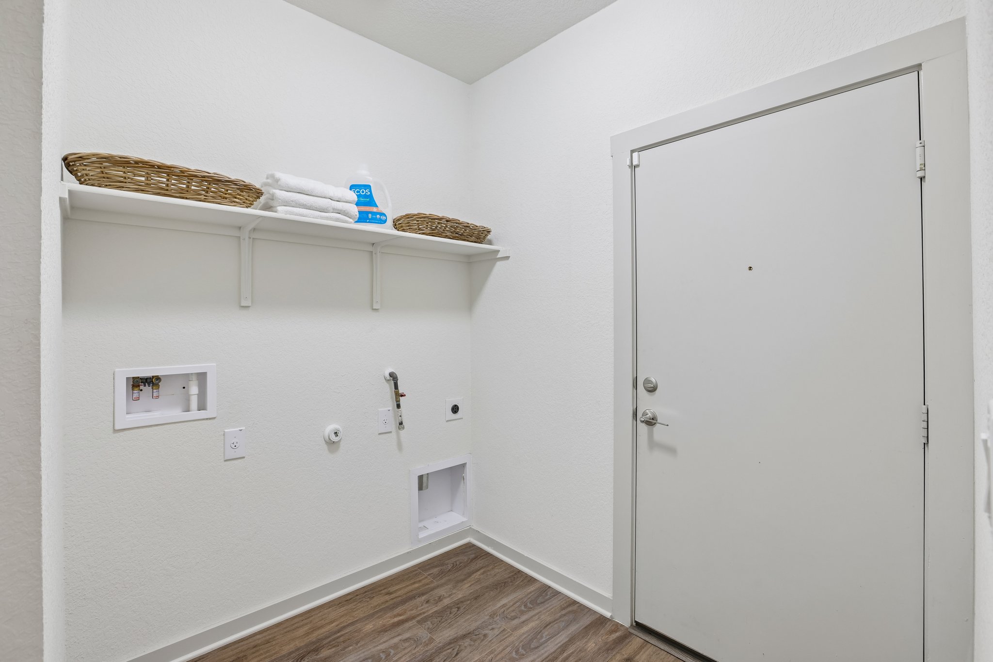 Filifera Ct-S0407-016.jpg