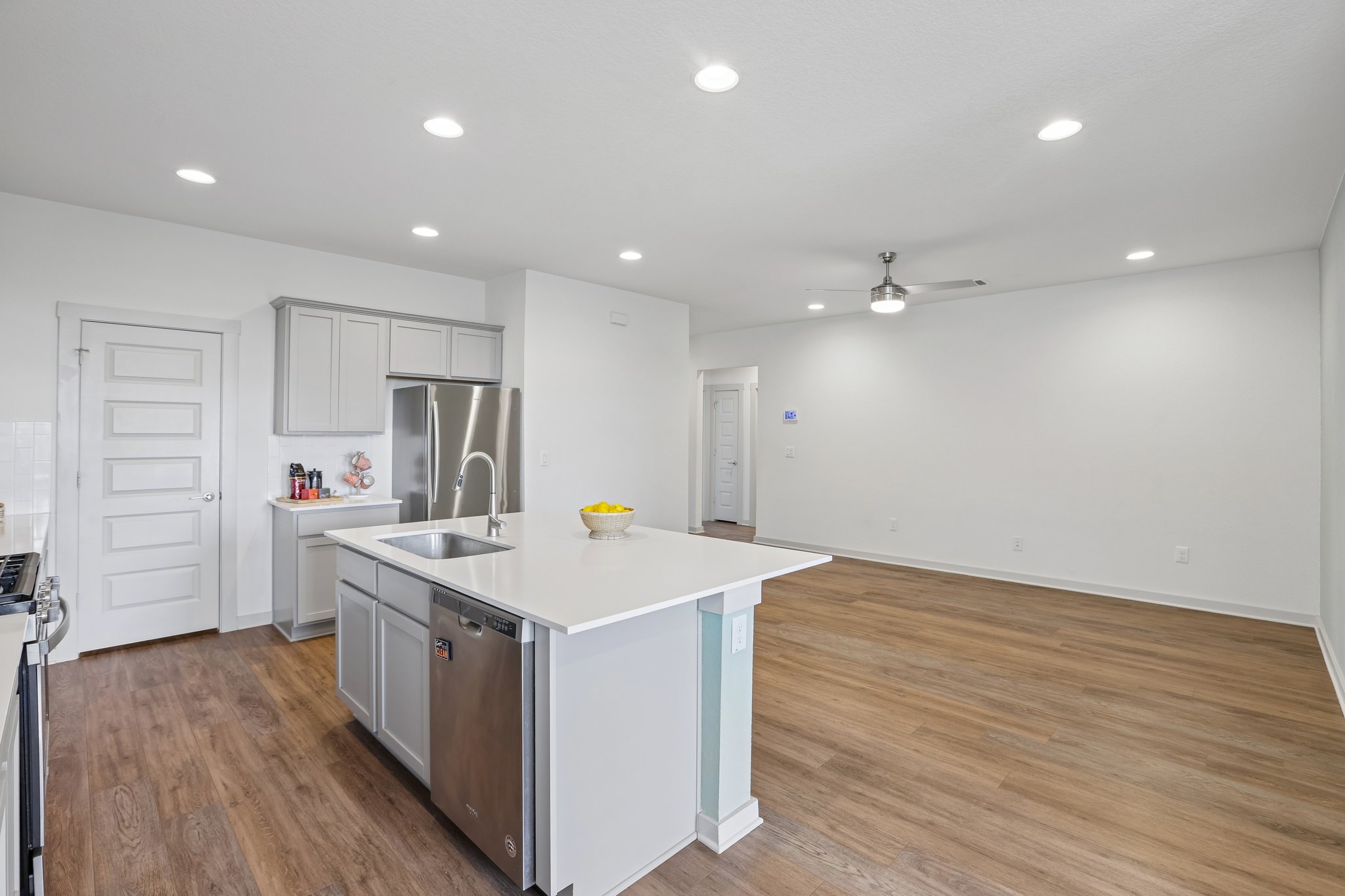 Filifera Ct-S0407-017.jpg