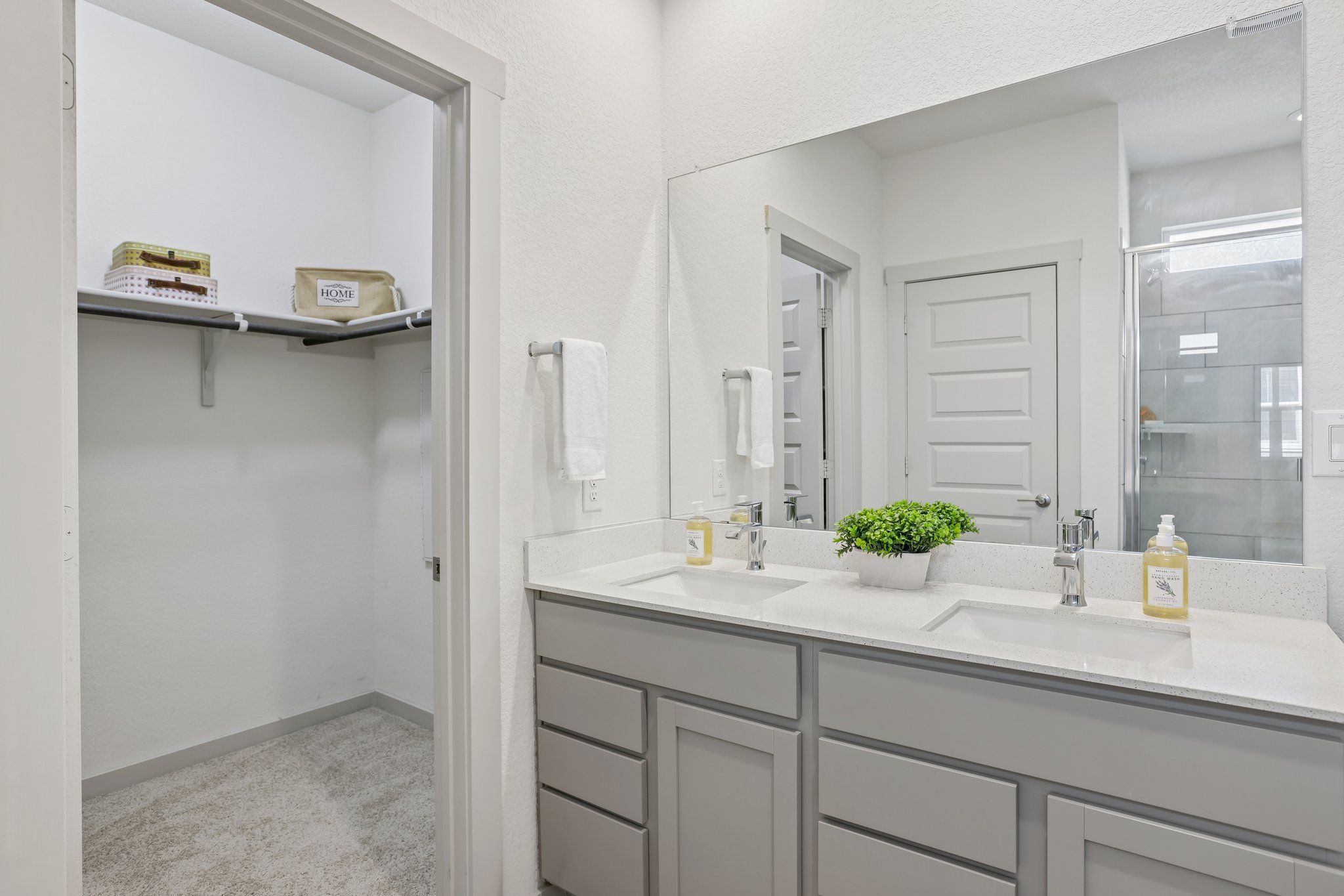 Filifera Ct-S0407-042.jpg