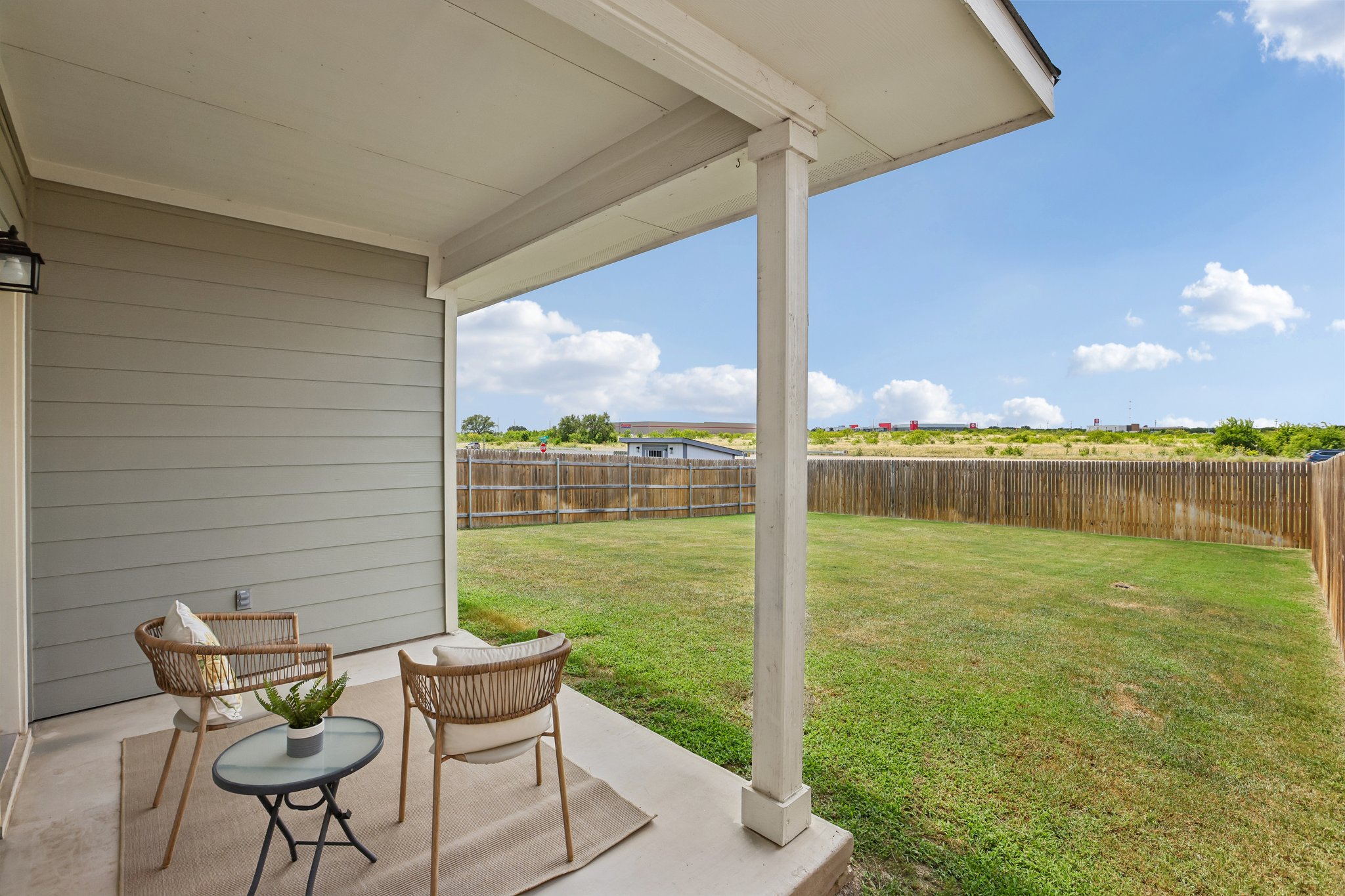 Filifera Ct-S0407-047.jpg