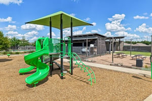 Filifera Ct-0407-901.jpg