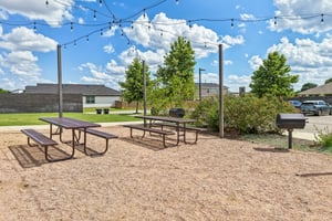 Filifera Ct-0407-905.jpg