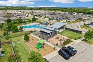 Filifera Ct-0407-909.jpg