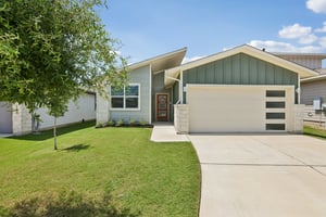 Filifera Ct-S0407-007.jpg