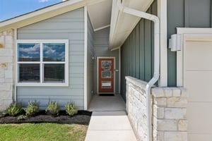 Filifera Ct-S0407-008.jpg