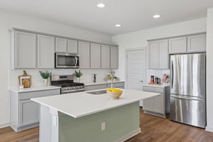 Filifera Ct-S0407-014.jpg