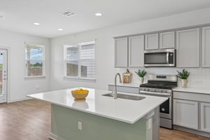 Filifera Ct-S0407-015.jpg