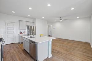 Filifera Ct-S0407-017.jpg