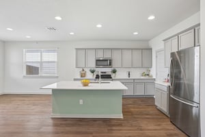 Filifera Ct-S0407-021.jpg