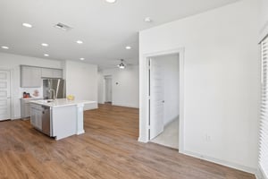 Filifera Ct-S0407-025.jpg