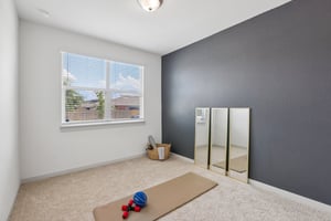 Filifera Ct-S0407-027.jpg