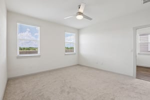 Filifera Ct-S0407-037.jpg