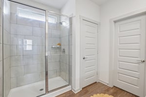 Filifera Ct-S0407-040.jpg