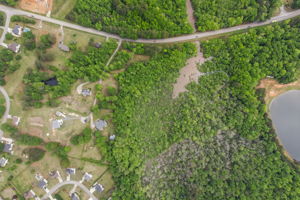 LaRuche Photo - GJones - 109 J O Simmons Path - Drone-5