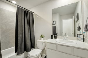 Hall Bathroom