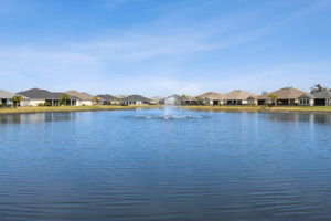 Ryan's Cove