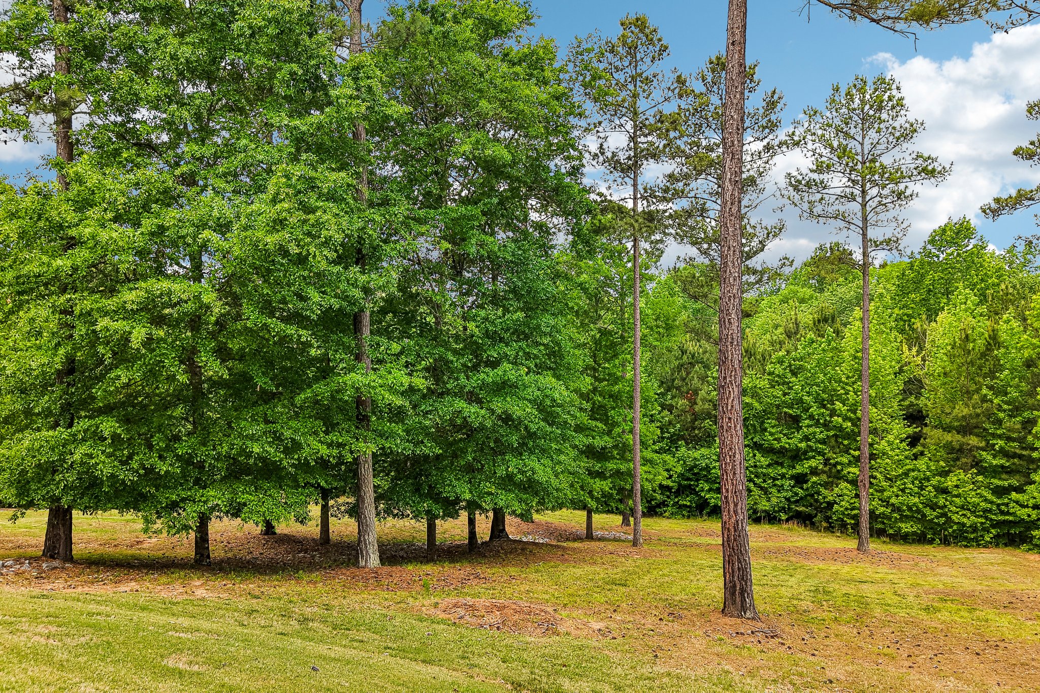 Sagewood Ct-S0705-086.jpg