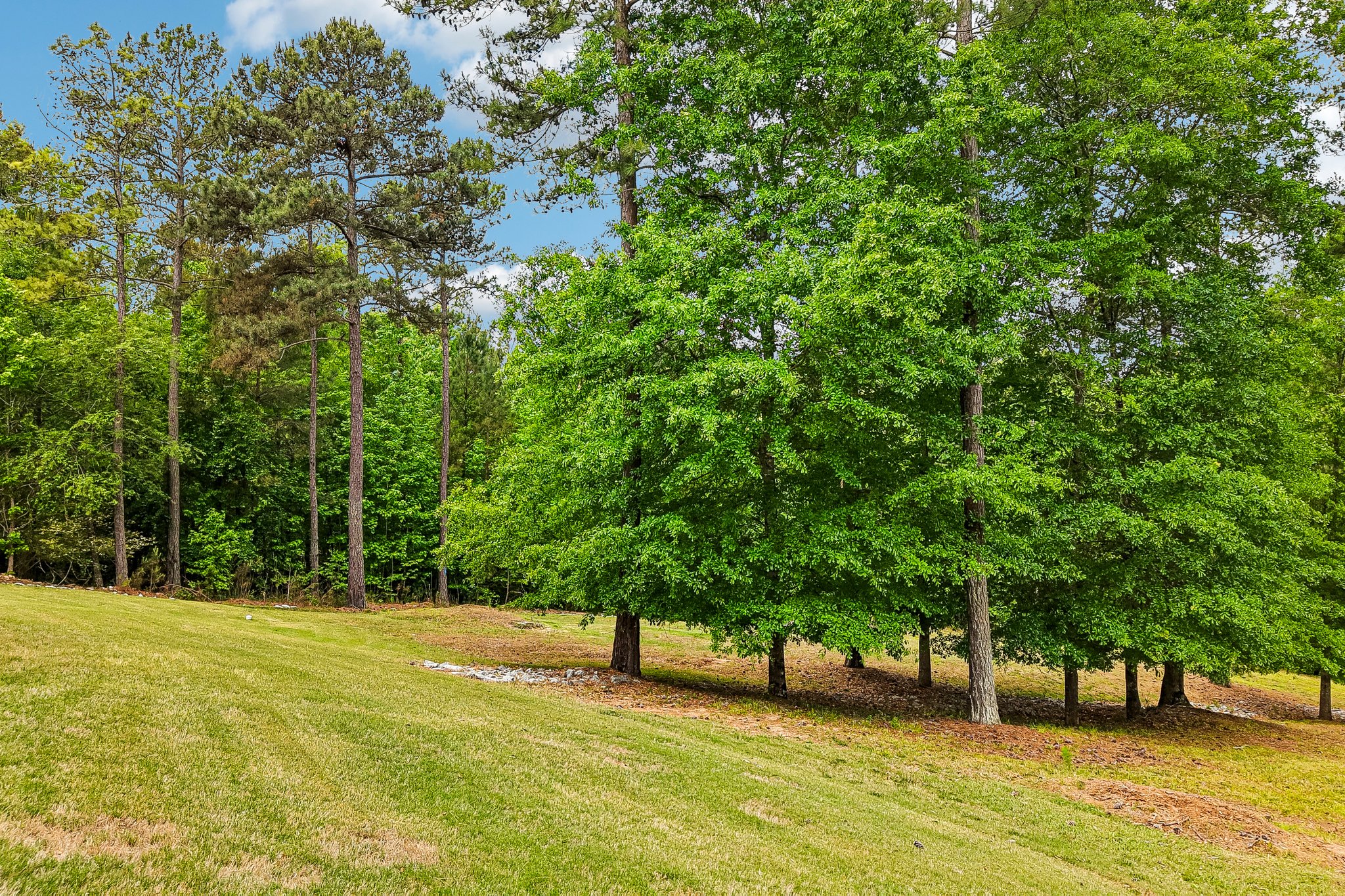 Sagewood Ct-S0705-087.jpg