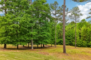 Sagewood Ct-S0705-086.jpg