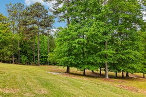 Sagewood Ct-S0705-087.jpg