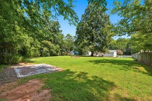 Back Yard