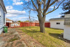  Photo 38