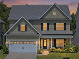 109 S Wild Indigo Place Twilight