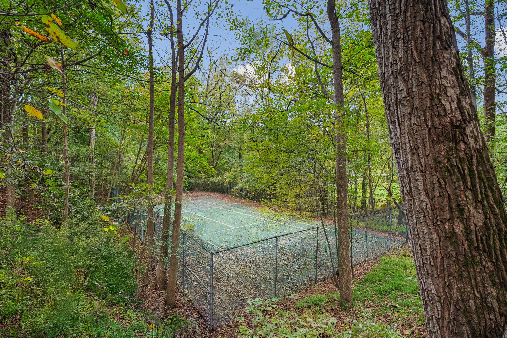 Tennis Courts
