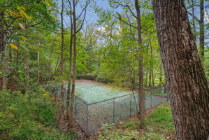 Tennis Courts