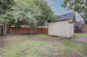 04 side yard2