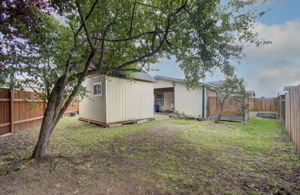 04 side yard