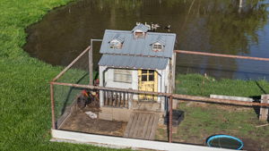  Photo 49