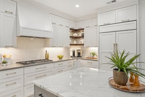 High End Appliances & Quartz countertops