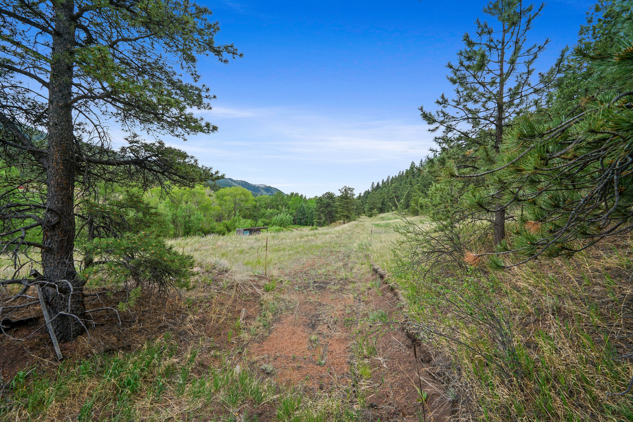 10925 W Hwy 24, Cascade, CO 80809, USA Photo 8