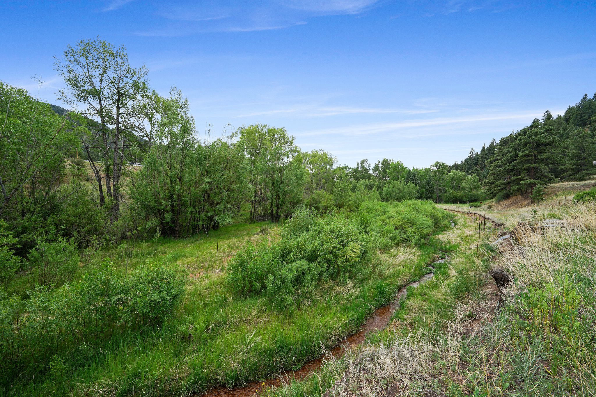 10925 W Hwy 24, Cascade, CO 80809, USA Photo 10