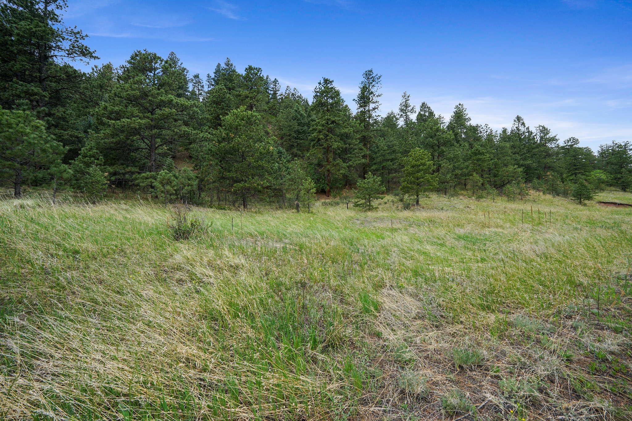 10925 W Hwy 24, Cascade, CO 80809, USA Photo 14