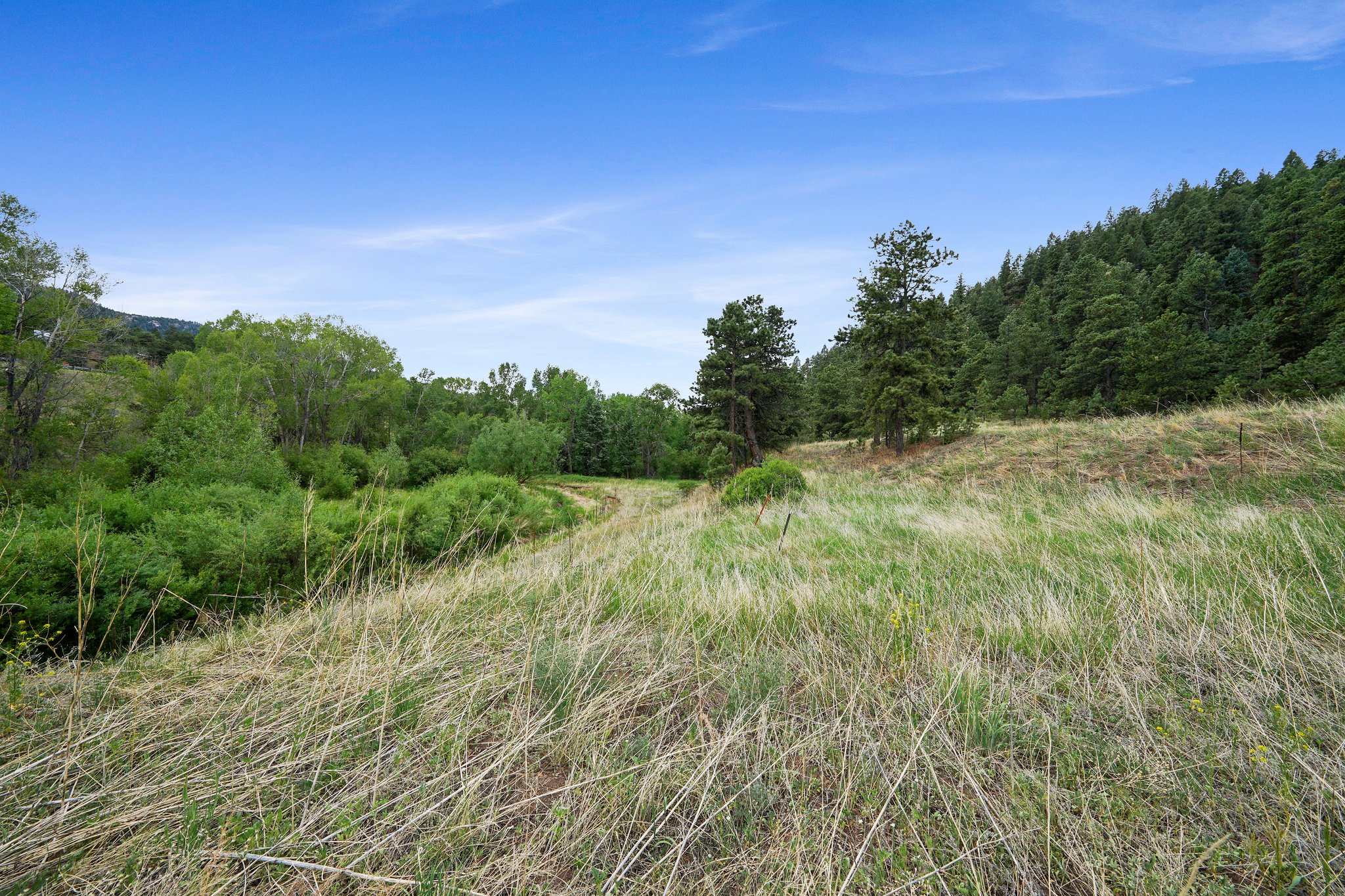 10925 W Hwy 24, Cascade, CO 80809, USA Photo 17